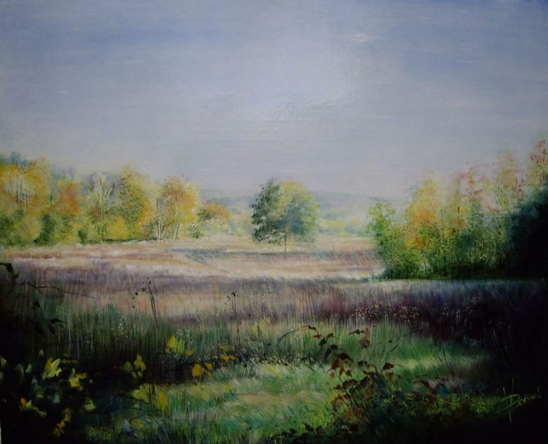 Clairiere_Dourdan