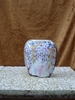 glycine_doree